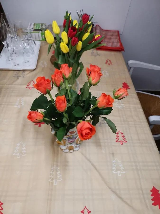 Guest house Rose Hotel Villejuif